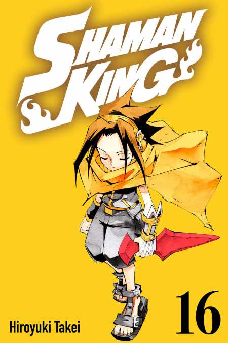 cover for Shaman King, 16