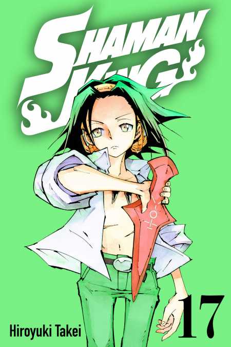 cover for Shaman King, 17