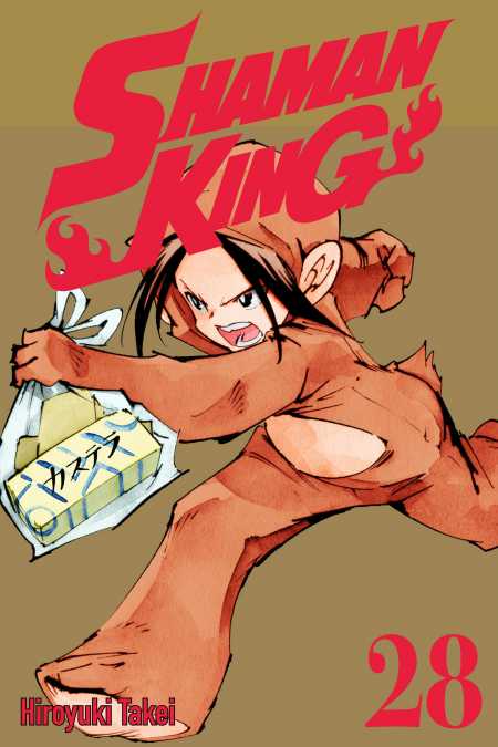 cover for Shaman King, 28