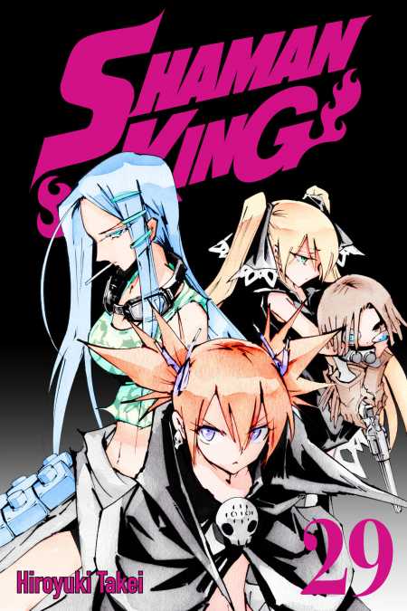cover for Shaman King, 29